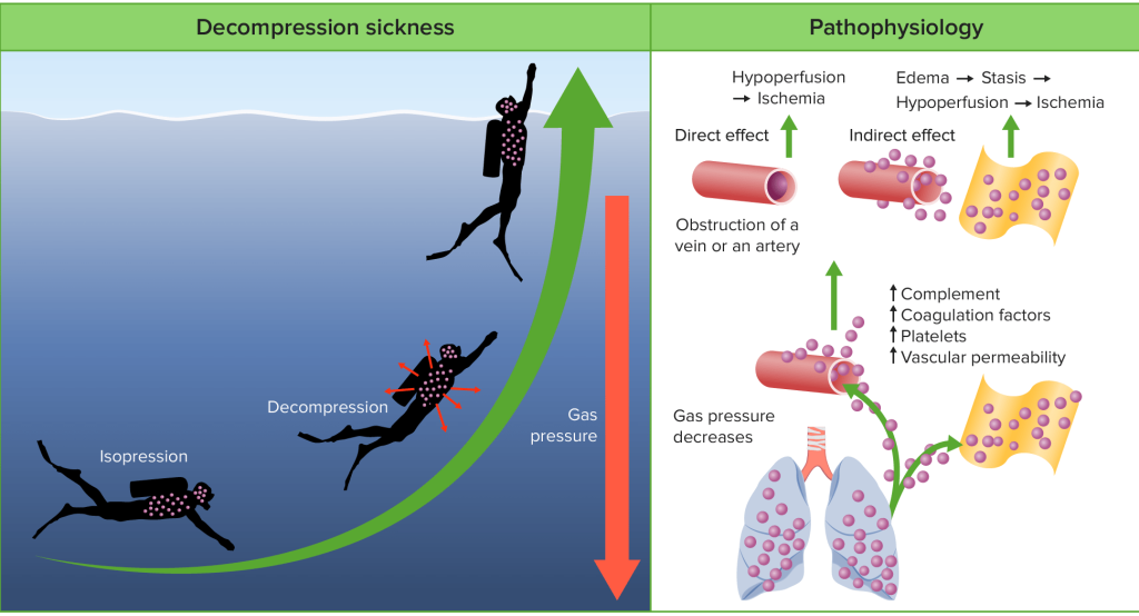 Sickness Seapixels Dive Team